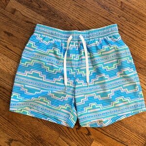 Chubbies Multicolor Geometric Swim trunks